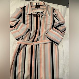 The Limited- Knee length button up shirt dress